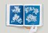 Anna Atkins. Cyanotypes - Bild 13