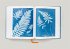 Anna Atkins. Cyanotypes - Bild 16