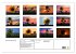 Blumen der Sonne (Wandkalender 2024 DIN... - Bild 2