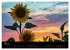 Blumen der Sonne (Wandkalender 2024 DIN... - Bild 7
