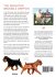 The Definitive Brussels Griffon - Bild 2