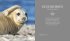 Bildband - Unsere Meere - Bild 8
