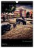 Herten - Digital gemalt (Wandkalender... - Bild 11