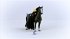 Schleich 42620 - Horse Club, Sofia's... - Bild 5