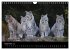 Der Luchs (Wandkalender 2024 DIN A4... - Bild 12