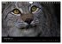 Der Luchs (Wandkalender 2024 DIN A4... - Bild 15
