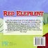 Red Elephant - Bild 2