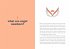 A Little Bit of Angel Numbers - Bild 5
