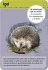Exp Natur 50 Tiere der Nacht - Bild 2