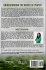 Understanding the Basics of Prayer - Bild 2