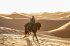 Mission: Impossible 7 - Dead Reckoning... - Bild 7