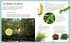 Backpack Explorer: Discovering Plants... - Bild 5