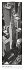New York Vertical - Bild 5