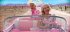 Barbie - Bild 2