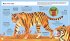 Tiger (Young Zoologist) - Bild 4