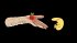 The Many Pieces of Mr. Coo -... - Bild 3
