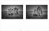 Fotogalerie Fotogalerie