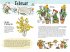 Pettersson und Findus. Mit Findus... - Bild 6