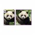 Ambassador 7230030 - Panda 100 Teile - Bild 3