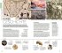 Vis-à-Vis Reiseführer Südafrika - Bild 7