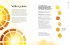 The Watercolor Artist's Guide to Color - Bild 8