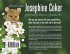 The Adventures of Henry the Field Mouse - Bild 2