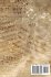 Harmonious Creations - Bild 2