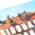 Blutrotes Kobalt. Der Kongo und die... - Bild 7