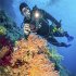 Sealife Reefmaster RM-4K Pro 2000 Set... - Bild 5