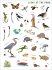 Backpack Explorer Stickers: Nature... - Bild 4