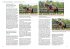 Verbessere dein Reiten - Bild 3