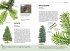 Bäume am Blatt erkennen - 78 Laub- und... - Bild 5