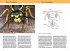 Bienen, Wespen, Ameisen - Bild 2