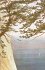 Caspar David Friedrich und der weite... - Bild 5