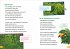 WAS IST WAS Erstes Lesen Doppelband... - Bild 4
