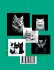 Malbuch Katze 