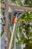 Gardena Cleansystem Stielbürste soft... - Bild 3
