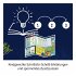 Fun Science Aqua-Gel-Pflanzen - Bild 5
