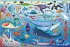 Meine erste Puzzle-Box. Der Ozean - Bild 4