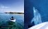 Bretagne. Eine maritime Reise - Bild 5