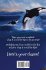 ORCAS - Beautiful, Intelligent,... - Bild 2