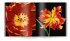 Tulpen   (Restauflage) - Bild 7
