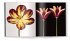 Tulpen   (Restauflage) - Bild 9