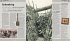 Der Erste Weltkrieg - Bild 8