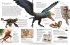 memo Wissen. Dinosaurier - Bild 8