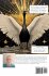 The Goose Oracle - Bild 2