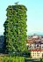Einfach Grün - Greening the City - Bild 7