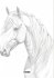 Realistic Horse Coloring - Bild 2