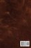 Sabores do Oriente - Bild 2