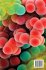 Computing Search Engines for Biological... - Bild 2